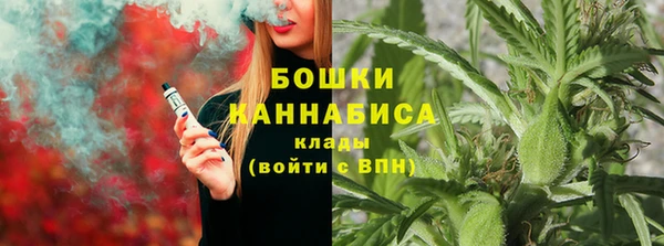 PSILOCYBIN Балахна